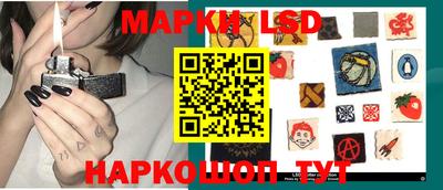 гидропоника Тверь