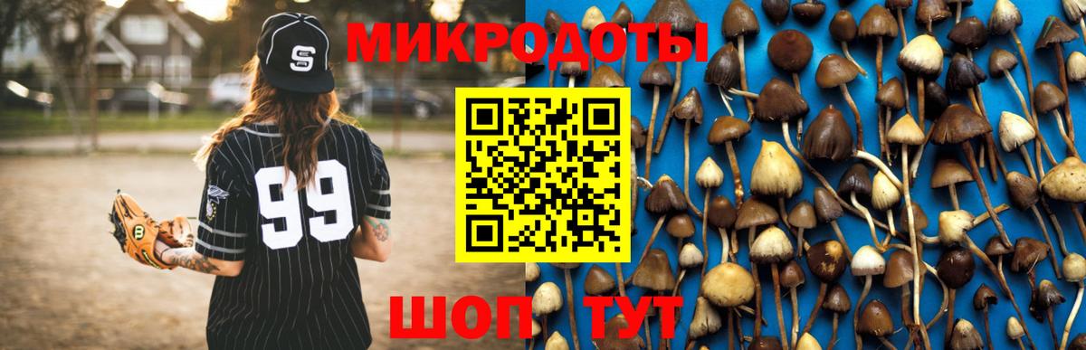 Майкоп  Псилоцибиновые грибы GOLDEN TEACHER  Вход с VPN 